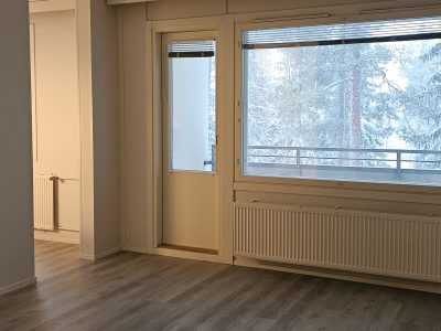 Vuokrattavana remontoitu yksiö