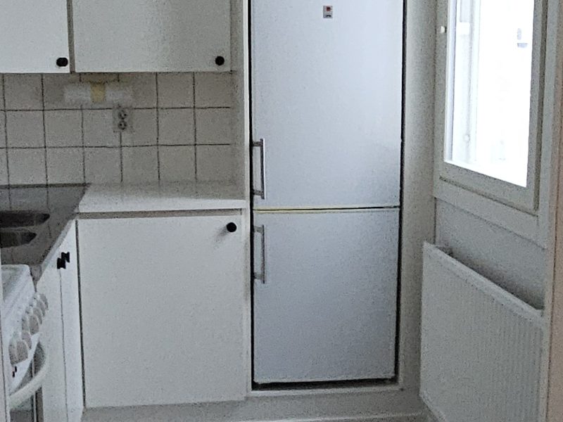 Vuokrattavana remontoitu yksiö