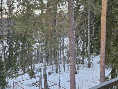Vuokrattavana remontoitu yksiö