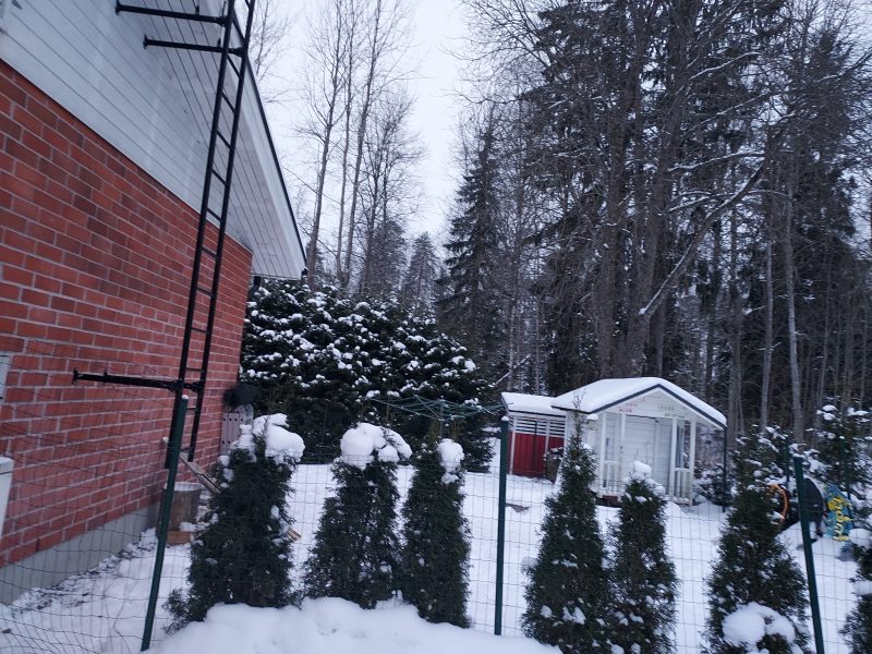 Pitkäaikainen vuokraus tarjotaan