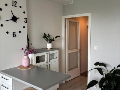 Kaksio keskuspuiston laidalla