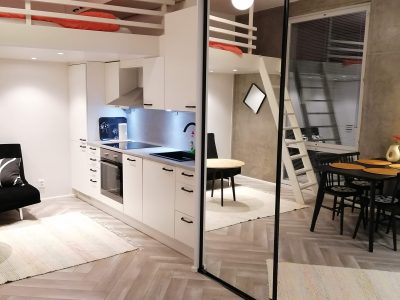 Ihastuttava LOFT yksiö