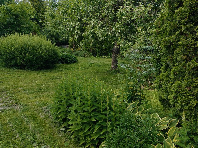 Idyllinen omakotitalo omalla puutarhalla