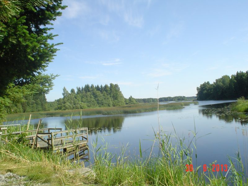 Huvila merikarvia