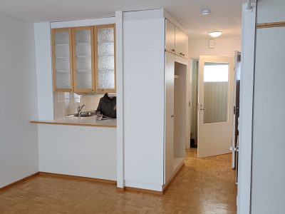 Luhtitalo yksiö